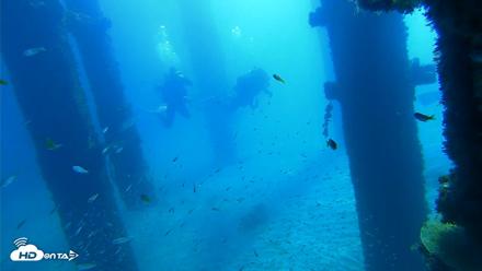 Scripps Pier Underwater Live Webcam - Oct 5, 2026, 10:26am PDT