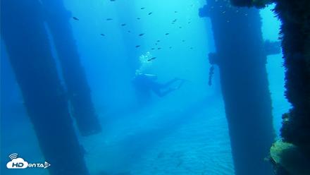 Scripps Pier Underwater Live Webcam - Oct 5, 2026, 10:48am PDT