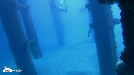 Scripps Pier Underwater Live Webcam - Oct 19, 2026, 12:30pm PDT