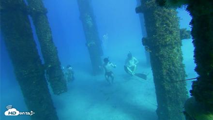 Scripps Pier Underwater Live Webcam - Oct 18, 2026, 3:59pm PDT
