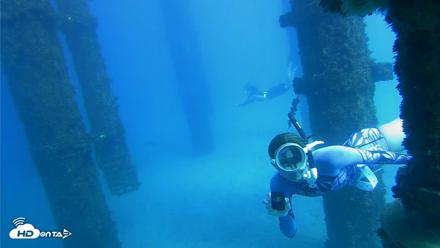 Scripps Pier Underwater Live Webcam - Oct 19, 2026, 2:53pm PDT
