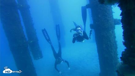Scripps Pier Underwater Live Webcam - Oct 19, 2026, 2:52pm PDT