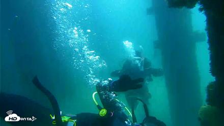 Scripps Pier Underwater Live Webcam - Sep 17, 2026, 12:29pm PDT