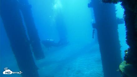 Scripps Pier Underwater Live Webcam - Oct 5, 2026, 10:48am PDT