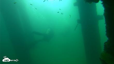 Scripps Pier Underwater Live Webcam - Sep 23, 2026, 9:23am PDT