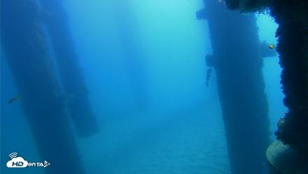Scripps Pier Underwater Live Webcam - Oct 21, 2026, 10:45am PDT