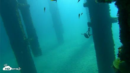 Scripps Pier Underwater Live Webcam - Oct 7, 2026, 10:04am PDT