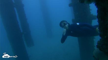 Scripps Pier Underwater Live Webcam - Oct 19, 2026, 6:05pm PDT
