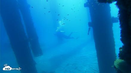 Scripps Pier Underwater Live Webcam - Oct 5, 2026, 10:49am PDT