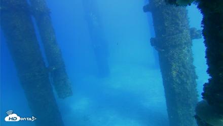 Scripps Pier Underwater Live Webcam - Oct 16, 2026, 3:53pm PDT