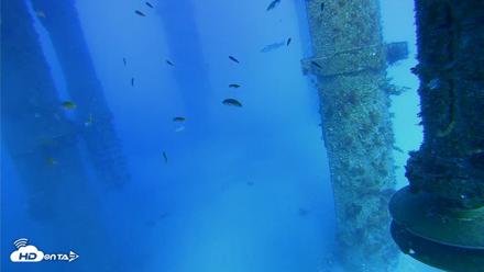 Scripps Pier Underwater Live Webcam - Jul 29, 2026, 5:29pm PDT