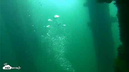Scripps Pier Underwater Live Webcam - Sep 23, 2026, 9:22am PDT