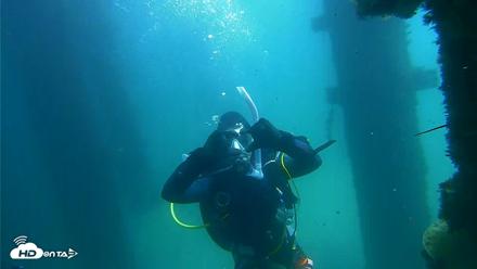 Scripps Pier Underwater Live Webcam - Sep 17, 2026, 12:29pm PDT