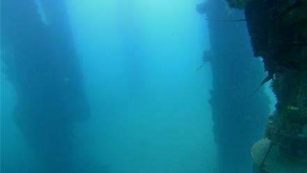 Scripps Pier Underwater Live Webcam - Sep 10, 2025, 7:08am PDT