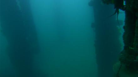 Scripps Pier Underwater Live Webcam - Sep 12, 2025, 6:26am PDT