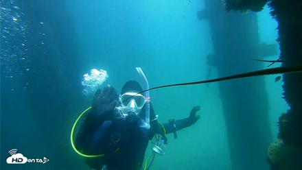Scripps Pier Underwater Live Webcam - Sep 17, 2026, 12:29pm PDT
