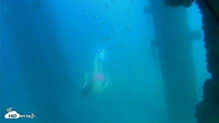 Scripps Pier Underwater Live Webcam - Sep 16, 2026, 3:45pm PDT