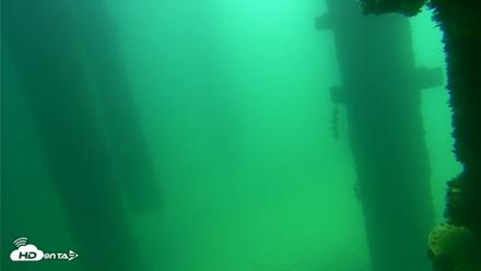 Scripps Pier Underwater Live Webcam - Sep 17, 2026, 11:51am PDT