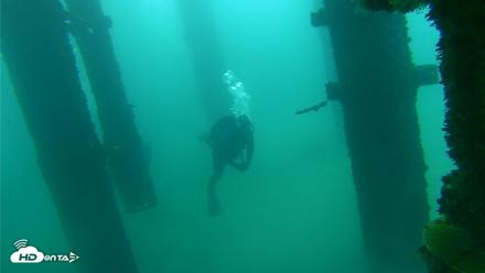 Scripps Pier Underwater Live Webcam - Oct 8, 2026, 9:32am PDT