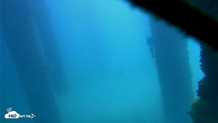 Scripps Pier Underwater Live Webcam - Oct 9, 2026, 12:27pm PDT