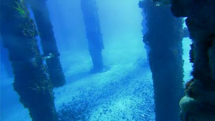 Scripps Pier Underwater Live Webcam - Feb 2, 2026, 9:55am PST