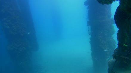 Scripps Pier Underwater Live Webcam - Sep 18, 2025, 1:54pm PDT