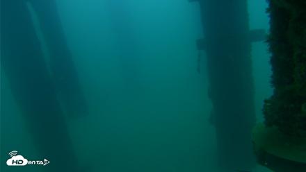 Scripps Pier Underwater Live Webcam - Aug 23, 2026, 6:25am PDT