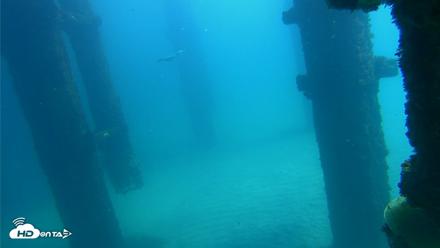 Scripps Pier Underwater Live Webcam - Oct 6, 2026, 12:39pm PDT