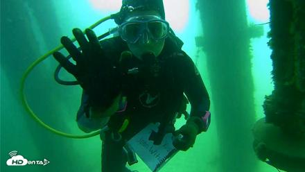 Scripps Pier Underwater Live Webcam - Aug 7, 2026, 10:58am PDT