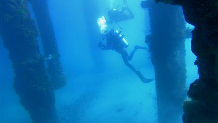 Scripps Pier Underwater Live Webcam - Feb 8, 2026, 11:32am PST