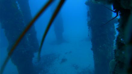 Scripps Pier Underwater Live Webcam - Dec 9, 2025, 6:46am PST