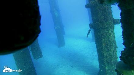 Scripps Pier Underwater Live Webcam - Oct 18, 2026, 4:34pm PDT