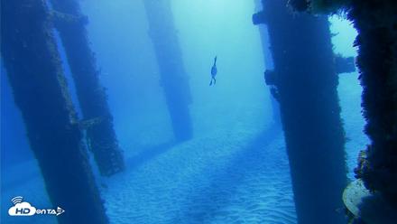 Scripps Pier Underwater Live Webcam - Oct 19, 2026, 9:48am PDT