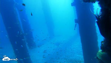 Scripps Pier Underwater Live Webcam - Oct 5, 2026, 10:19am PDT