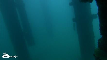 Scripps Pier Underwater Live Webcam - Sep 22, 2026, 6:35am PDT