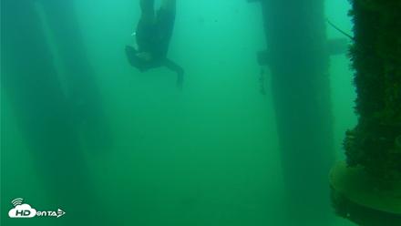 Scripps Pier Underwater Live Webcam - Aug 22, 2026, 8:30am PDT