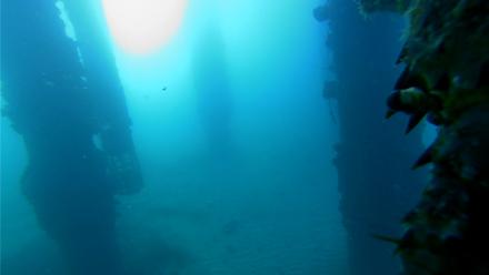 Scripps Pier Underwater Live Webcam - Aug 31, 2025, 7:47am PDT