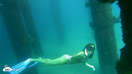 Scripps Pier Underwater Live Webcam - Sep 24, 2026, 2:55pm PDT