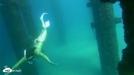 Scripps Pier Underwater Live Webcam - Sep 24, 2026, 2:39pm PDT