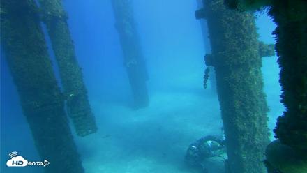Scripps Pier Underwater Live Webcam - Oct 18, 2026, 3:32pm PDT