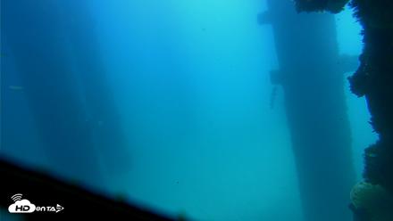 Scripps Pier Underwater Live Webcam - Sep 17, 2026, 12:16pm PDT