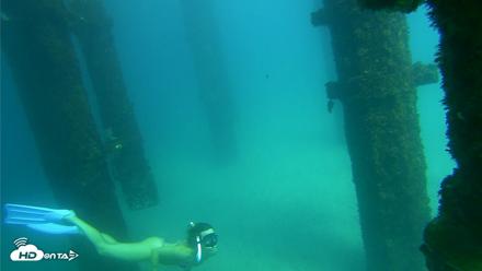 Scripps Pier Underwater Live Webcam - Sep 24, 2026, 2:55pm PDT