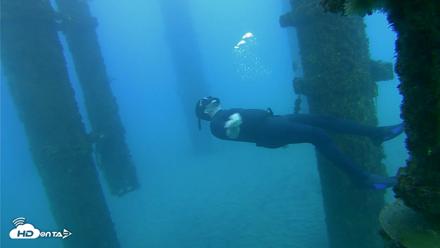 Scripps Pier Underwater Live Webcam - Oct 19, 2026, 5:47pm PDT