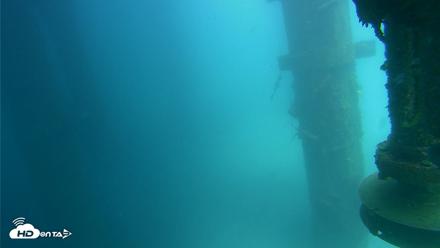 Scripps Pier Underwater Live Webcam - Jul 25, 2026, 1:52pm PDT