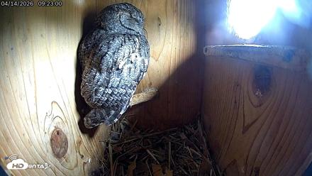 Kingston Harbour Jamaica Live Webcam - Apr 14, 2026, 9:23am EST