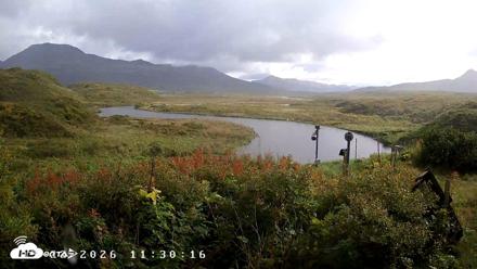 Kodiak Alaska Frazer Weather Live Cam - Sep 22, 2026, 3:22pm AKDT