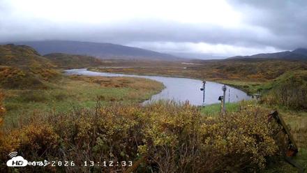 Kodiak Alaska Frazer Weather Live Cam - Oct 9, 2026, 2:49pm AKDT