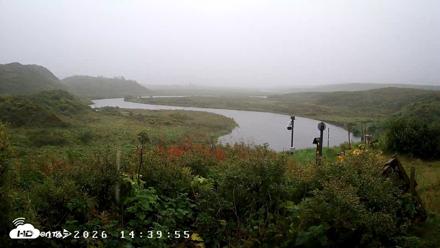 Kodiak Alaska Frazer Weather Live Cam - Sep 15, 2026, 2:38pm AKDT