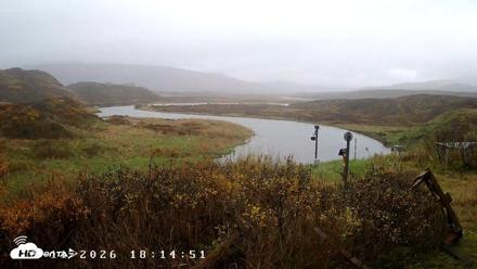 Kodiak Alaska Frazer Weather Live Cam - Oct 16, 2026, 12:46pm AKDT