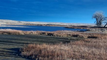 American Prairie Montana Bison Live Cam - Nov 15, 2025, 3:42pm MST